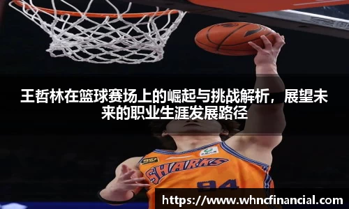 王哲林在篮球赛场上的崛起与挑战解析,展望未来的职业生涯发展路径